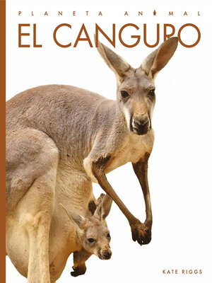 cover image of El canguro